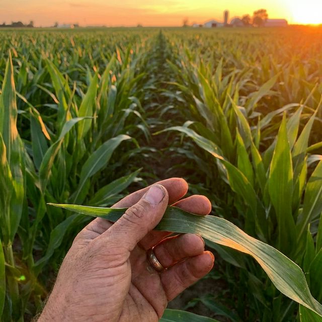 Agricultural Market Trends: Navigating the Future of Farming in 2025